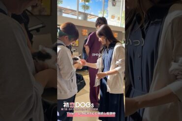 『#初恋DOGs』メイキング🎬撮影合間の戯れ!🐾 #清原果耶 #成田凌 #清原果耶 #野呂佳代 #なだぎ武