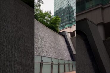 ⒊👥君ノカケラ 夏目友人帳 中 孝介 宮本　笑里 いしわたり淳治 遠藤慎吾 #君ノカケラ #夏目友人帳 #中孝介 #宮本笑里 #いしわたり淳治 #遠藤慎吾