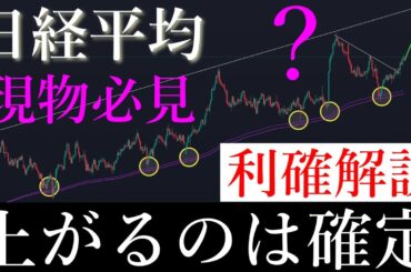 🎯現物勢全員見ろ。利確ラインを公開します。日経平均株価/Ni225