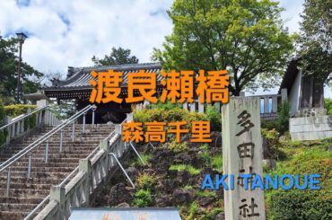 森高千里/渡良瀬橋