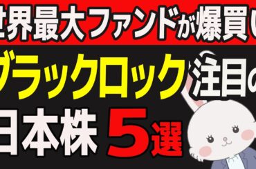 世界最大の投資家ブラックロックが注目する日本株５選はこれだ！