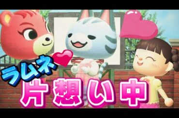 【あつ森アニメ】新作！ラムネ片想い中!?ストロベリーホームパパ36話（あつまれどうぶつの森）