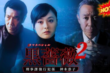 貫地谷しほり＆岸谷五朗コンビが警察の暗部をえぐり出すシリーズ第2弾 【邦画】