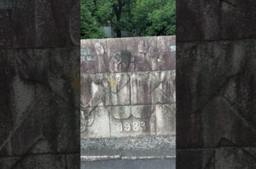 ③ 🏞️ 君ノカケラ 夏目友人帳 中 孝介 宮本　笑里 いしわたり淳治 遠藤慎吾 #君ノカケラ #夏目友人帳 #中孝介 #宮本笑里 #いしわたり淳治 #遠藤慎吾