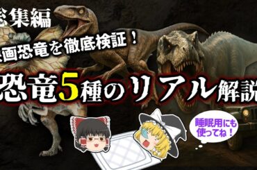 【睡眠用・ゆっくり解説】映画に出たあの恐竜たちの正体は?5つの古生物を徹底解説!【広告最初のみ 途中広告なし】 【睡眠用・ゆっくり解説】映画に出たあの恐竜たちの正体は?5つの古生物を徹底解説!【広告最初のみ 途中広告なし】