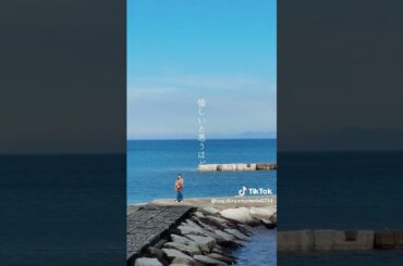 20250808 Yamamoto Sayaka(山本彩) TIK TOK