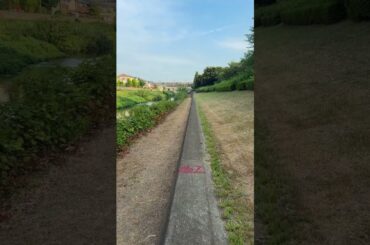 ④ 🏞️ 君ノカケラ 夏目友人帳 中 孝介 宮本　笑里 いしわたり淳治 遠藤慎吾 #君ノカケラ #夏目友人帳 #中孝介 #宮本笑里 #いしわたり淳治 #遠藤慎吾