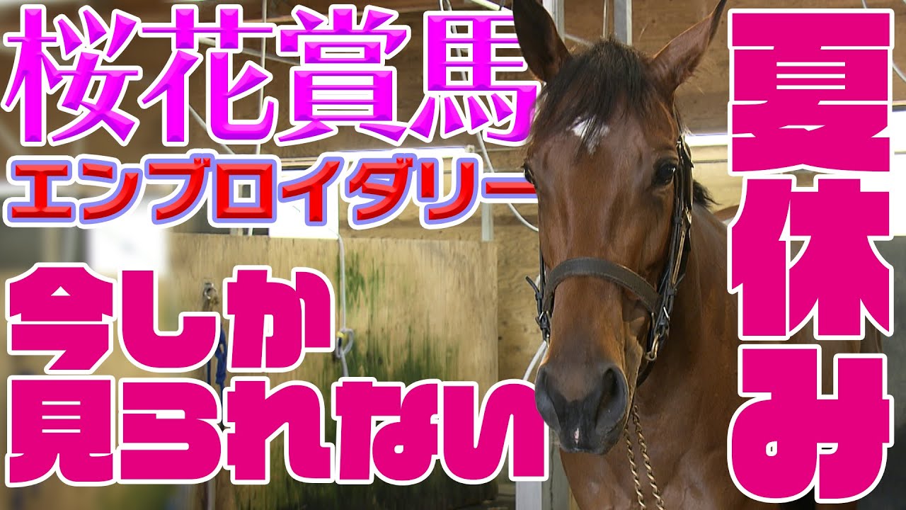 【配信限定】桜花賞馬エンブロイダリーの夏休みに潜入!|ウイニングTube 【配信限定】桜花賞馬エンブロイダリーの夏休みに潜入!|ウイニングTube