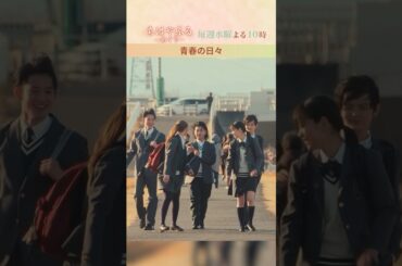 青春の日々【#ちはやふる－めぐり－】毎週水曜夜10時放送中 #shorts