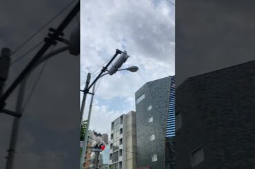 ⒈👥君ノカケラ 夏目友人帳 中 孝介 宮本　笑里 いしわたり淳治 遠藤慎吾 #君ノカケラ #夏目友人帳 #中孝介 #宮本笑里 #いしわたり淳治 #遠藤慎吾