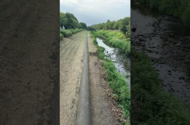 ② 🏞️ 君ノカケラ 夏目友人帳 中 孝介 宮本　笑里 いしわたり淳治 遠藤慎吾 #君ノカケラ #夏目友人帳 #中孝介 #宮本笑里 #いしわたり淳治 #遠藤慎吾