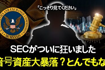 SECが今後の暗号資産の見通しをこんなふうに出したって？？