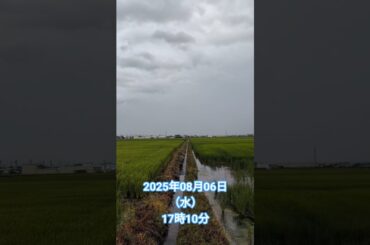 山形県寒河江市散歩にて撮影2025年08月06日（水）17時10分