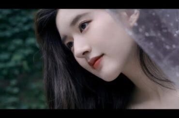 中国の妖精Zhao Lusi、日本で奇跡の再会🌸✨女優・有村架純との初共演が実現！夢のスペシャルショーが感動の渦に🎬🇯🇵🇨🇳