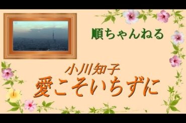 愛こそいちずに／小川知子