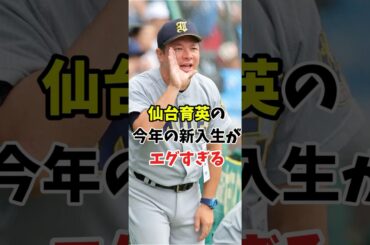【中学野球 進路】仙台育英の新入生は大阪桐蔭以上でエグすぎる件【2025】