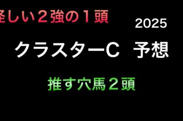 【競馬予想】　地方交流重賞　クラスターカップ　予想　2025