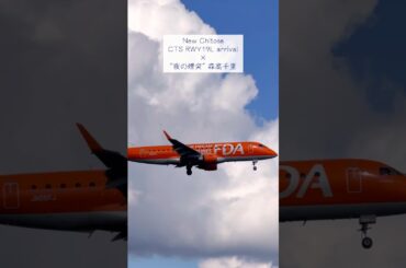 【新千歳】 CTS RWY19L arrival 森高千里 "夜の煙突"