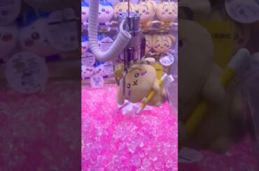 【ちいかわ】×クレーンゲーム攻略！！新商品プライズ チャレンジ！！今日こそは頑張ります！！