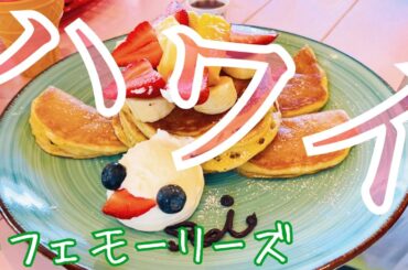 ハワイ【ホヌ・パンケーキ】2025お盆休み・どこでもプライベートツアー