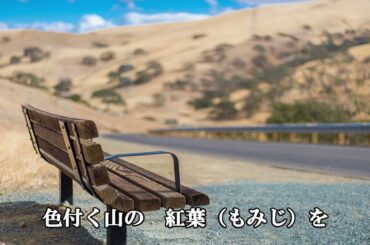 人生の扉‐竹内まりや‐