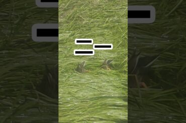 ZARDの永遠　〜歌詞に合わせてシリーズ〜