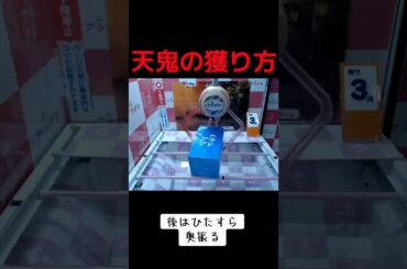 #クレーンゲーム #攻略 #橋渡し #忍たま乱太郎 #天鬼  クレーンゲーム 攻略 橋渡し  TikTok