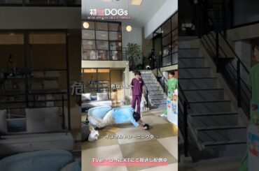 『#初恋DOGs』メイキング🎬撮影合間のトレーニング🏋🏻 #成田凌 #ナイヌ #萩原利久