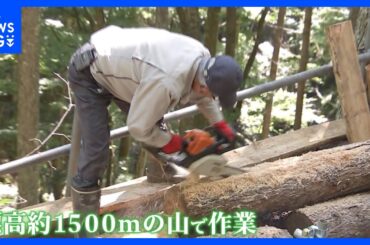 日航機墜落事故から40年　墜落現場・御巣鷹の尾根を整備し続けてきた管理人“御巣鷹の守り神”　運命の分かれ道を歩む遺族の思い｜TBS NEWS DIG