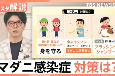 感染拡大の要因は“ペット”と“高温”？マダニが媒介「SFTS=重症熱性血小板減少症候群」とは【Nスタ解説】｜TBS NEWS DIG