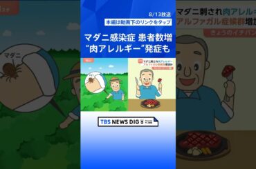 感染拡大の要因は“ペット”と“高温”？マダニが媒介「SFTS=重症熱性血小板減少症候群」とは【Nスタ解説】｜TBS NEWS DIG #shorts