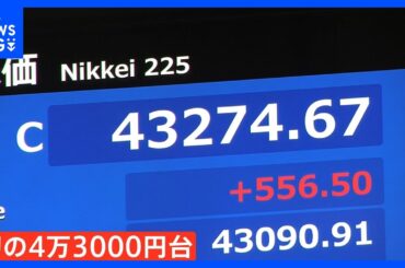 史上初の4万3000円台　日経平均株価が最高値更新も…市場関係者からは不安の声「楽観的すぎる」｜TBS NEWS DIG