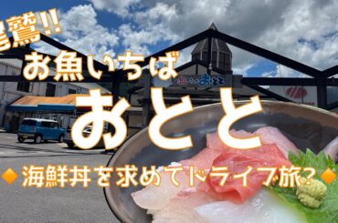 『海鮮丼が食べたくて、夏』津市↔️尾鷲市三重県縦断日帰りドライブ🚐💨💨『おわせお魚いちばおとと』さんで海鮮丼で食欲解放みずのっち♪【みずのっち孤食旅】