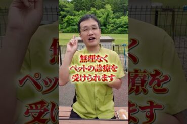 【飼い主必見】オンライン診療で家から獣医師の診察を！ #ペット #動物病院 #犬 #猫 #獣医師