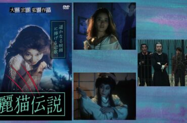 火曜サスペンス劇 場麗猫伝説✔️ サスペンスドラマ最新2025