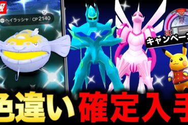 【補填判明】色違いが激アツ！新実装ヘイラッシャの強さ解説と明日から重要なポイントまとめ【ポケモンGO】