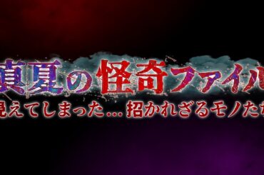 真夏の怪奇ファイル　 2025年8月14日   見えてしまった…招かれざるモノたち　“最恐”の3時間半SP  LIVE