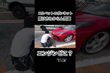 開け方ムズすぎ#short #車女子