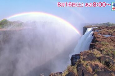 ロコレコは矢吹奈子！海外の旅は総集編！「旅サラダ」8月16日（土）放送