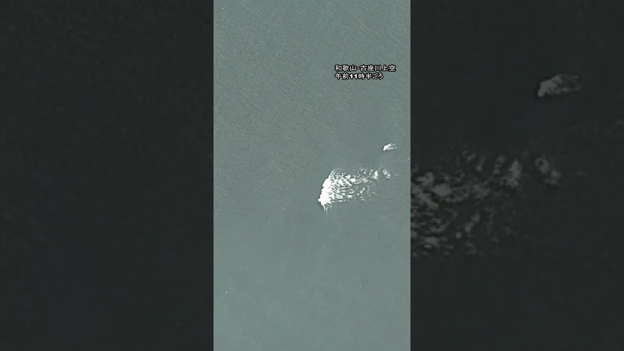 【津波警報】波が発生する海の様子 和歌山・古座川上空から撮影 #shorts 【津波警報】波が発生する海の様子 和歌山・古座川上空から撮影 #shorts