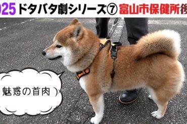 2025狂犬病予防注射会場のドタバタ劇⑦ 富山市保健所後編
