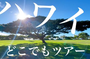 ハワイ【西オアフ&ノース】どこでもプライベートツアー