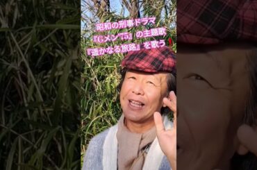 #昭和のドラマ主題歌 #刑事ドラマ #80年代歌謡曲 #Gメン75 #ドラマ主題歌 #中島はるみ #昭和ポップス歌謡 #昭和の歌唱 #想い出のメロディー #懐メロ #歌手 #昭和歌謡カバー #アカペラ