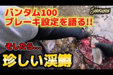 突然変異種『ホウライマス』GET‼️＆バンタム100ブレーキ設定を語る🎣【渓流ベイト】by職人