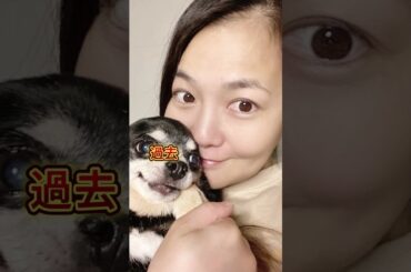 華原朋美の最新姿にネット騒然