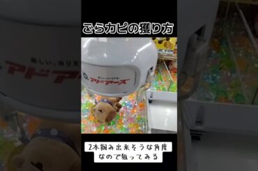 #攻略 #クレーンゲーム #100円娯楽 #ごらカピ #確率無視  クレーンゲーム 攻略  TikTok