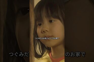 嫌いでも好きでもない、あなたはもう怜南の母親ではない