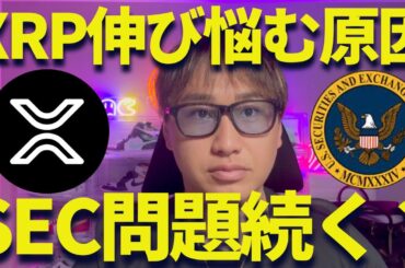 【XRP】リップル対SECまだ続くの！？裁判所の許可は降りてない・・・