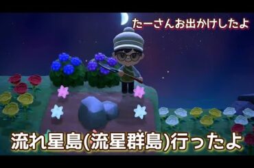 【あつ森】星のかけら ゲット🌠 #流れ星島  行ったよ  　@たーさんの趣味の部屋  #たーさんお出かけしたよ
