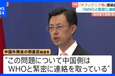中国で「チクングニア熱」感染急増　蚊が広める感染症 重症例も　中国政府「WHOと緊密に連絡」｜TBS NEWS DIG